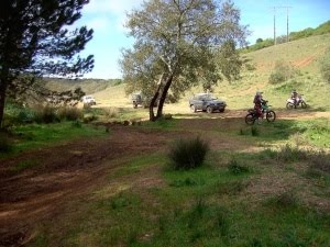 [PICT6823red[1].jpg]